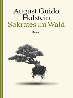 cover image of Sokrates im Wald